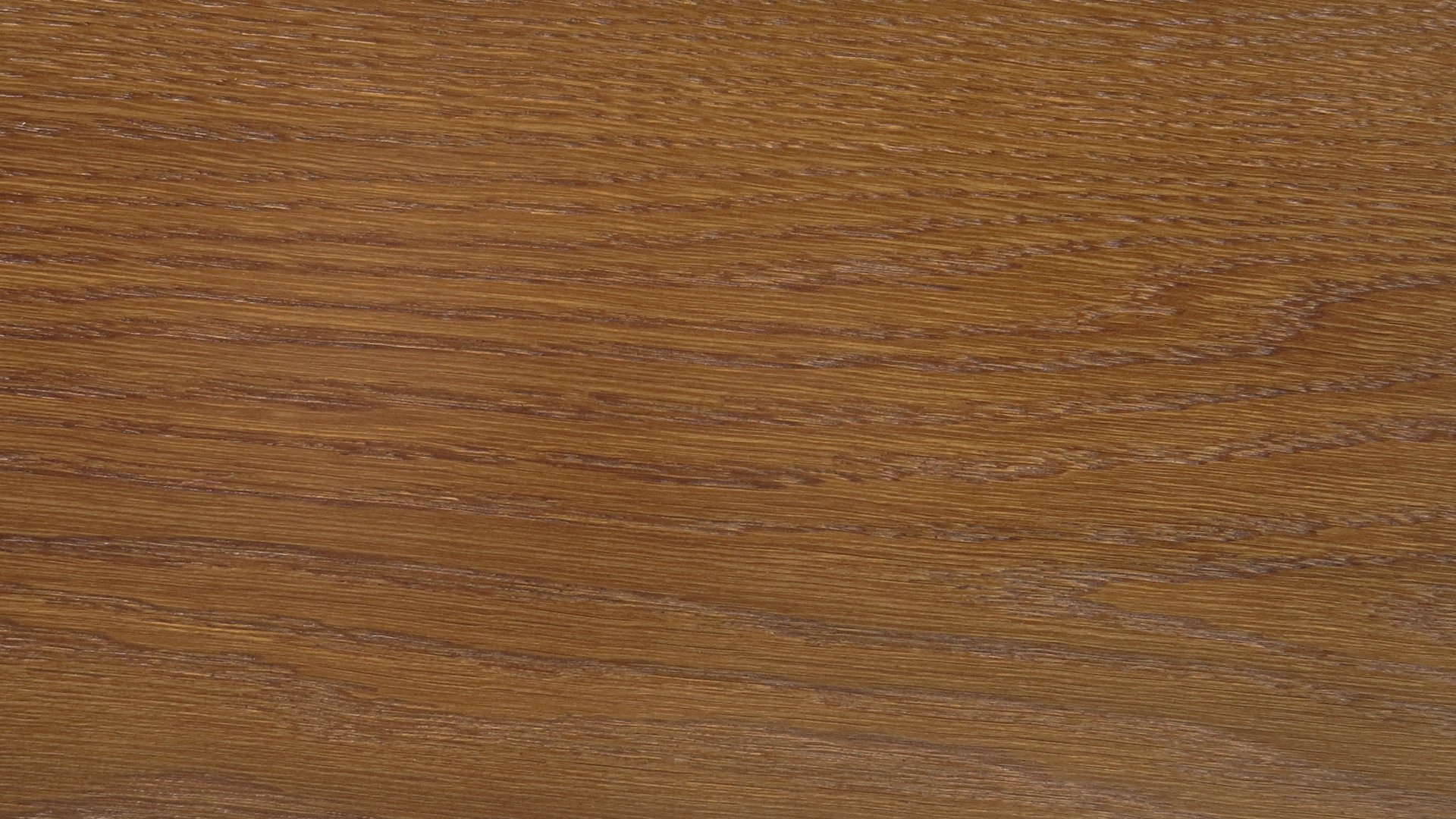 colorwood 04_57b733bb630a4